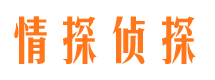 东山区侦探